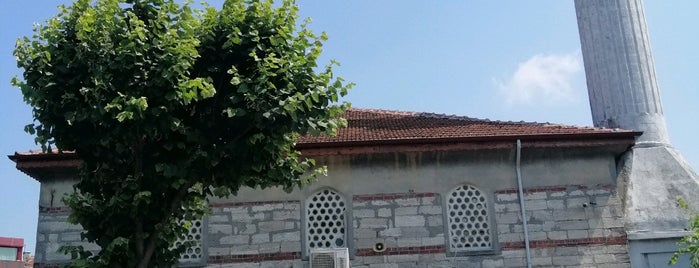 Bayezid Ağa Camii is one of İbadethane.