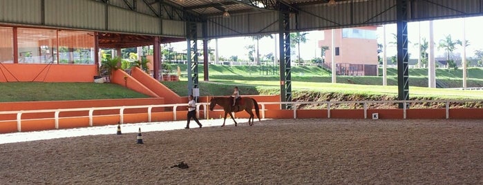 Haras Manoel Leão is one of Posti che sono piaciuti a Robertinho.