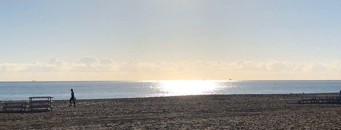 The Beach at the Marriott Harbor Beach is one of Places I need to visit.