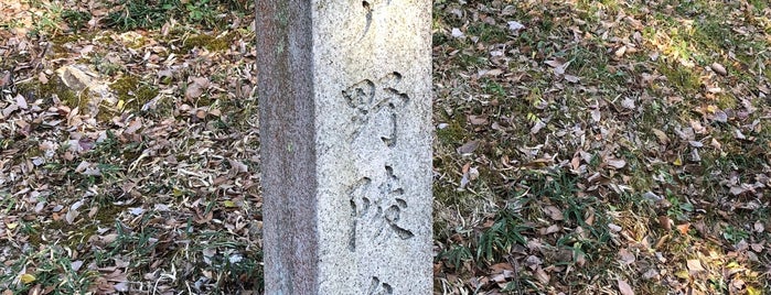 一條天皇皇后定子 鳥戸野陵 is one of 宮内庁治定陵墓.