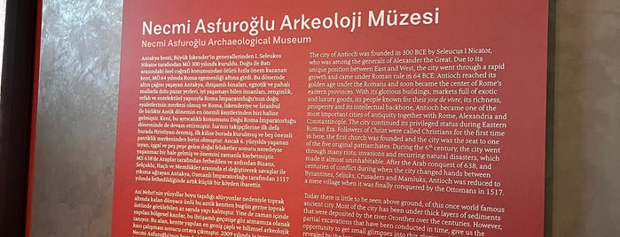 Necmi Asfuroğlu Arkeoloji Müzesi is one of Antakya.