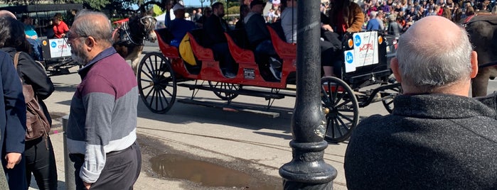 Royal Carriages is one of What we love about New Orleans.