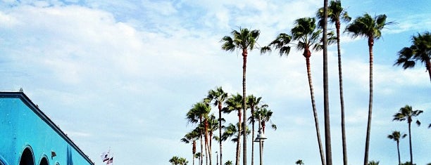 Venice Beach is one of Lugares favoritos de Sneakshot.