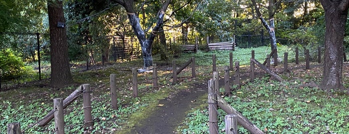 成城みつ池緑地 is one of 公園.