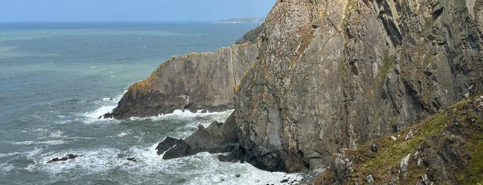 Baggy Point is one of National Trust visits.