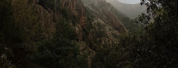 Gorges de la Spelunca is one of Corsica.