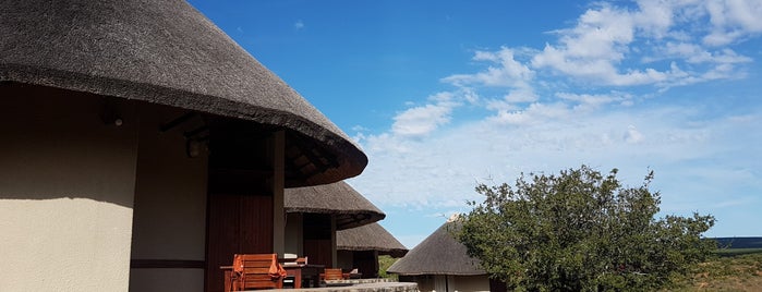 Addo Main Camp is one of Cape Town, South Africa.