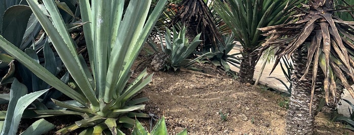 Casa del Mezcal del Oro de Oaxaca is one of Oaxaca.