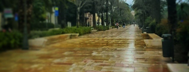 Paseo del Parque is one of Qué visitar en Málaga.