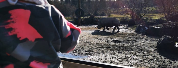 Greater Vancouver Zoo is one of Vancouver - kids.