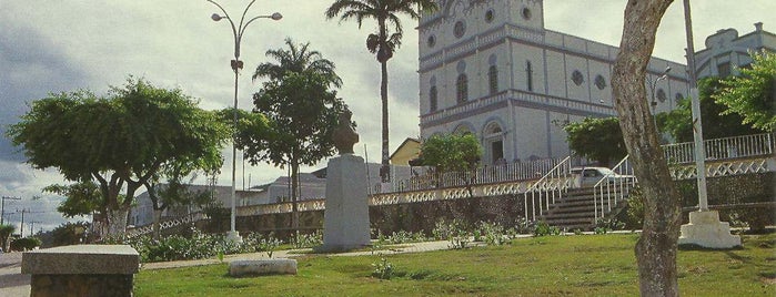Palmeira dos Índios is one of Cidades Alagoas.