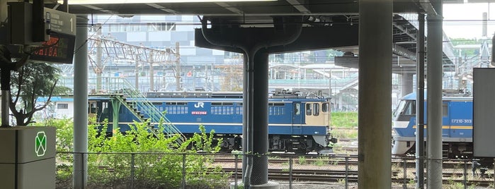 Shin-Kawasaki Station is one of JR 미나미간토지방역 (JR 南関東地方の駅).