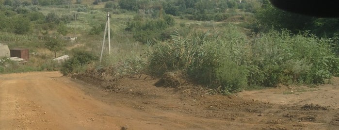 Мокрый Чалтырь is one of สถานที่ที่ Natalie ถูกใจ.