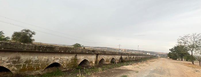 Uzunköprü Taş Köprü (Ergene Köprüsü) is one of Edirne.