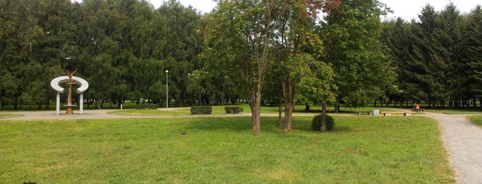Парк дружбы народов is one of любимые места.