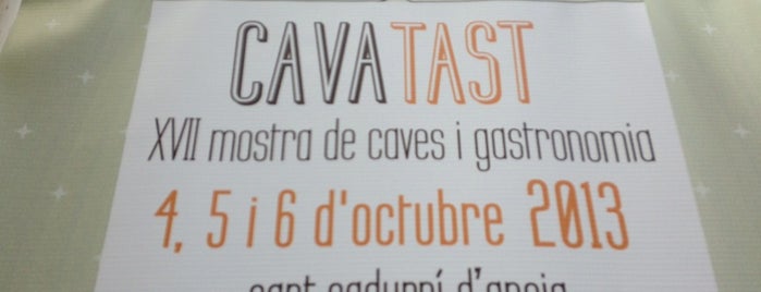 CavaTast 2013 is one of Lugares favoritos de BonVivant.es.