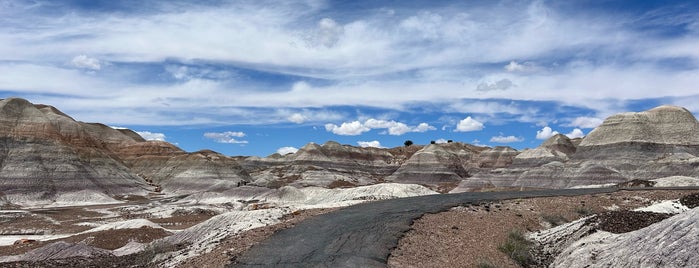 Blue Mesa Trail is one of สถานที่ที่ Davide ถูกใจ.