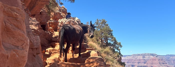 Kaibob Trailhead is one of Grand Canyon Trip.