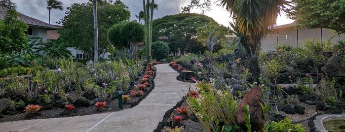 Pa'u A Laka - The Moir Garden is one of Kauai To-Do.
