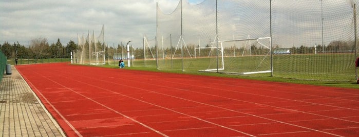 Centro Deportivo Municipal Vicálvaro is one of Locais curtidos por Alberto.