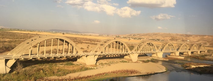 Zilek Köprüsü is one of Görülecek yerler.