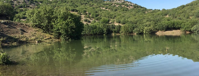 Bedir Kale Barajı is one of Dr.Gökhan : понравившиеся места.