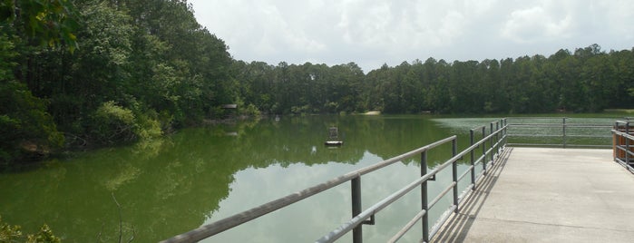 Lake Bethesda Park is one of Outdoor Adventure.