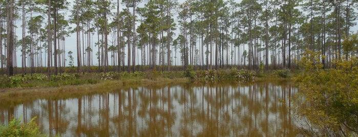 Okefenokee National Wildlife Refuge is one of Parks & Trails.