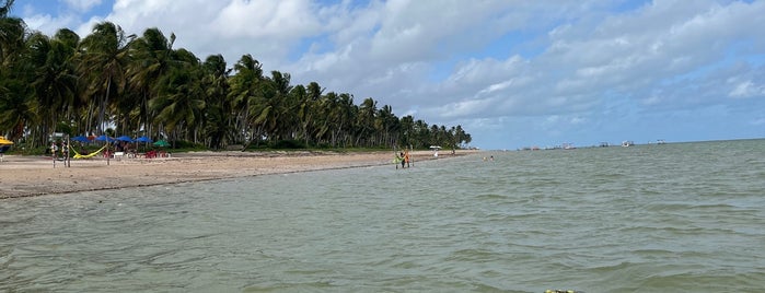 Praia do Patacho - Rota Ecológica dos Milagres is one of NE.