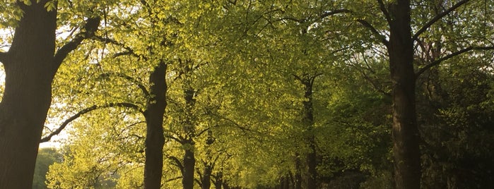 Blücherpark is one of Orte, die Michael gefallen.