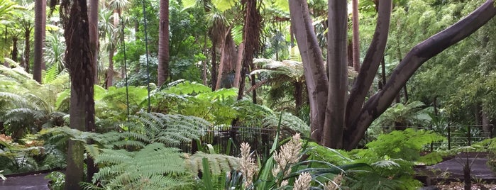 Royal Botanic Gardens is one of Melbourne, Australia.