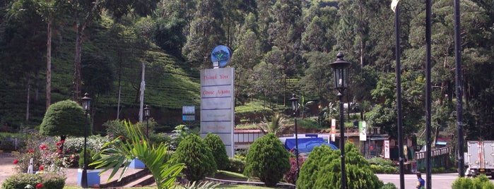 Blue Field Tea Factory is one of สถานที่ที่ Bernardo ถูกใจ.