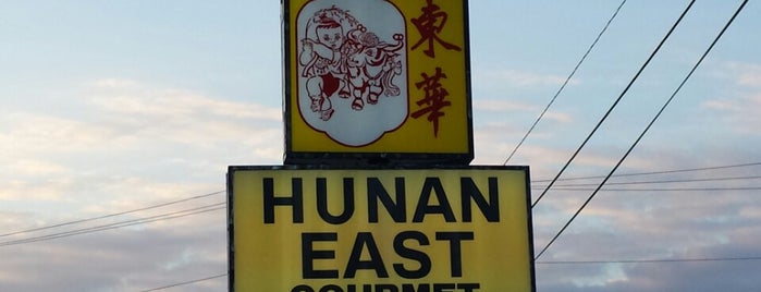 Hunan East is one of Chinese.