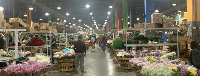 Mercado de Flores de Buenos Aires is one of Que hacemos hoy?.