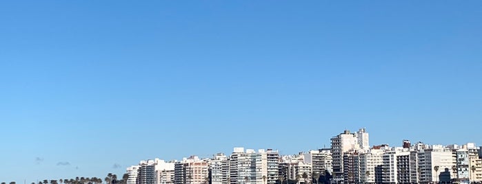 Playa de los Pocitos is one of Montevideo.