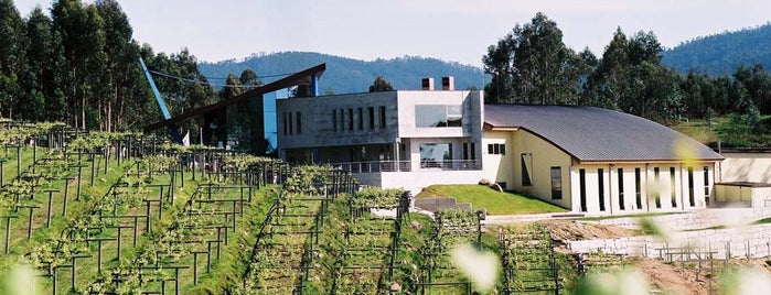 Bodegas Mar de Frades is one of Paraiso O Grove.