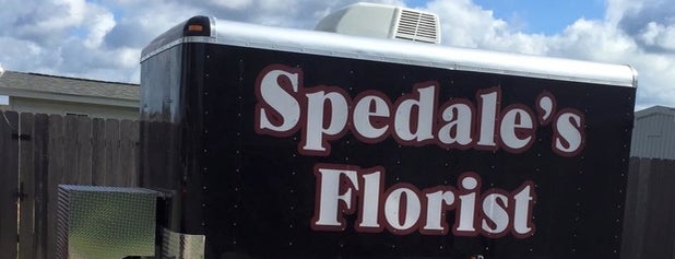 Spedale's Florist and Wholesale is one of U.s.a.