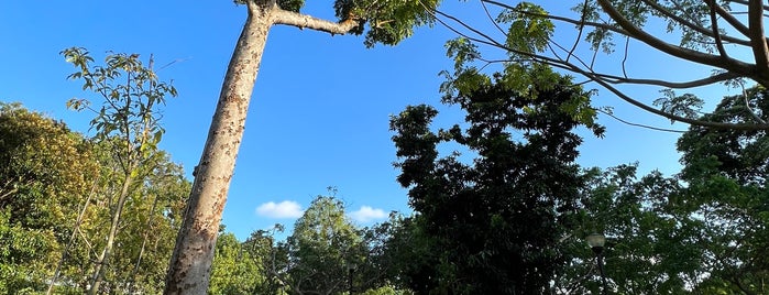 Clementi Woods Park is one of Micheenli Guide: Peaceful sanctuaries in Singapore.