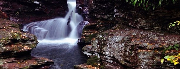 Ricketts Glen State Park is one of Places to go.