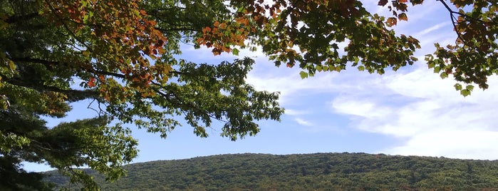 Tuscarora State Park is one of Lehigh Valley List.