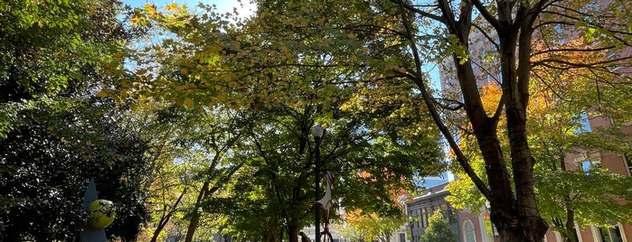 Krutch Park is one of Knoxville.