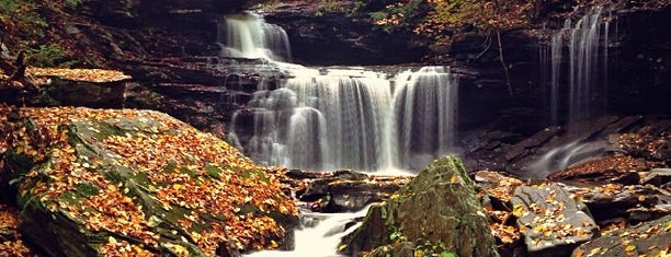 Ricketts Glen State Park is one of Happy Campers.