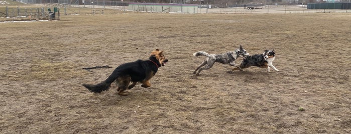 Red Oaks Dog Park is one of To Do Soon.