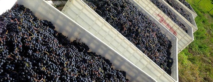BlackCloud Wine - sales and administration is one of Bradley'in Beğendiği Mekanlar.