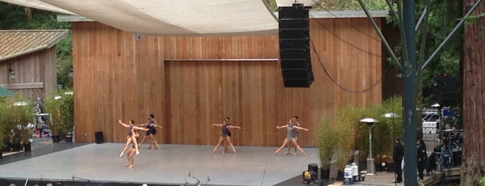 Stern Grove Festival is one of to do in sf.