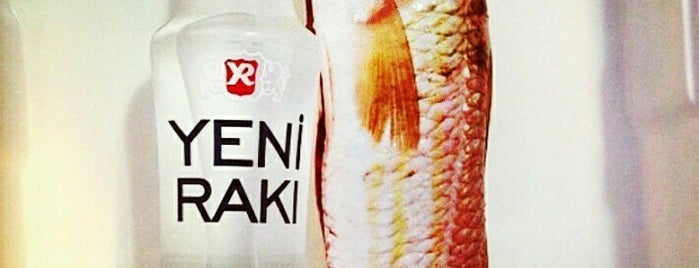 Rota'm Balık Pişiricisi is one of Gidilesi/İZMİR.