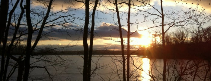 Westwood MTB Trail is one of Outdoors Fun.