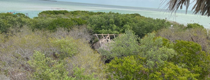 Isla de la Pasion is one of H O L B O X ⭐🦑.