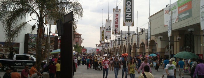 Feria Nacional de San Marcos 2013 is one of Tempat yang Disukai Edgar.