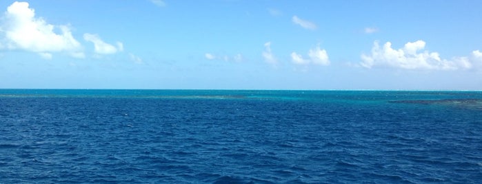 The Great Blue Hole is one of Belize Activities.